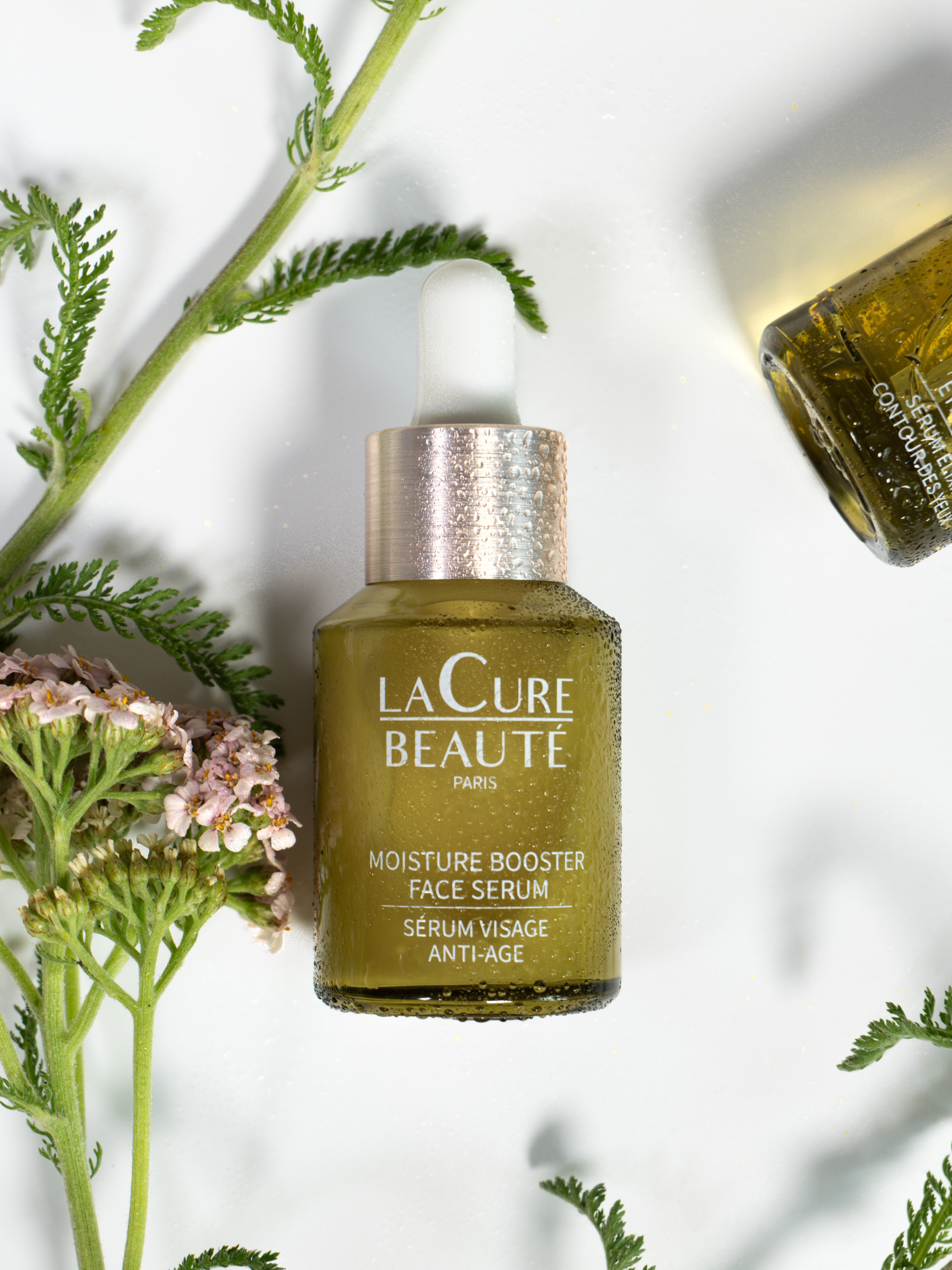 Image de Stage 3ᵉ année Interprestige